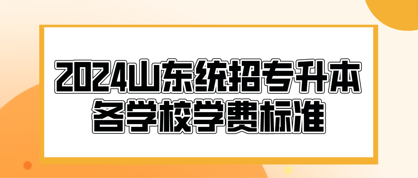 2024年山东统招专升本各学校学费标准