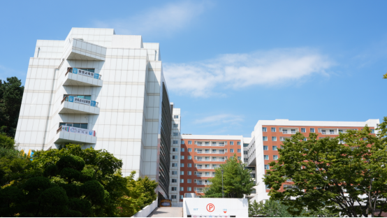 韩国1年制中韩双语授课专升本设计类专业 申请院校江南大学