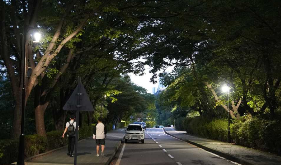专科计算机专业可申请1年制韩国留学专升本专业介绍