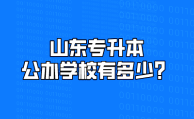 山东统招专升本公办学校有多少？(图1)