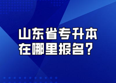 山东省专升本在哪里报名？