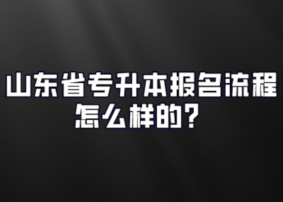 山东省专升本报名流程怎么样的？(图1)