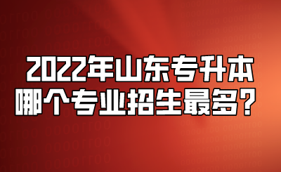 2022年山东统招专升本哪个专业招生最多？(图1)