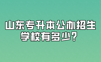 山东统招专升本公办招生学校有多少？