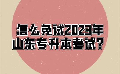 怎么免试2023年山东统招专升本考试？