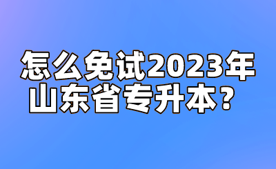 怎么免试2023年山东省专升本？(图1)