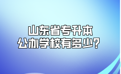 山东省专升本公办学校有多少？(图1)