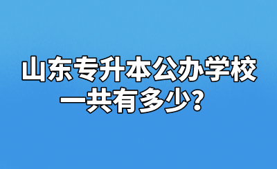 山东统招专升本公办学校一共有多少？