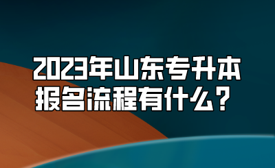 2023年山东统招专升本报名流程有什么？(图1)