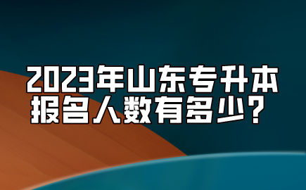 2023年山东统招专升本报名人数有多少？(图1)