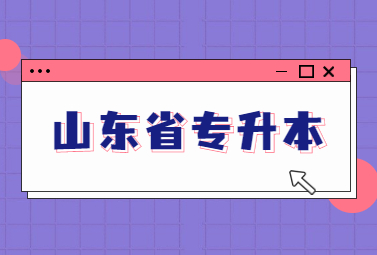 2023年山东统招专升本朝鲜语专业招生计划数是多少?