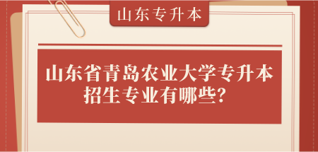 山东省青岛农业大学专升本招生专业有哪些？