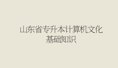 2021年山东省专升本计算机文化基础知识