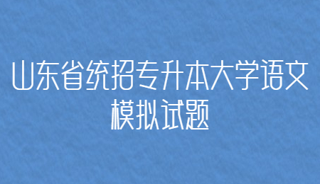 2021年山东省统招专升本大学语文模拟试题