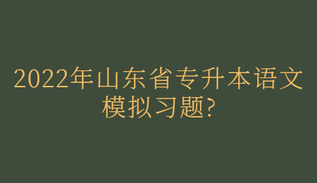 2022年山东省专升本语文模拟习题