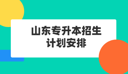 2022年山东统招专升本招生计划安排