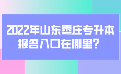 2022年山东枣庄专升本报名入口在哪里？(图1)