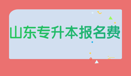 2022年山东统招专升本报名费多少?