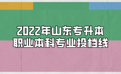 2022年山东统招专升本职业本科专业投档线