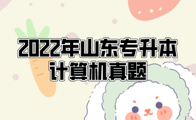 2022年山东统招专升本计算机真题