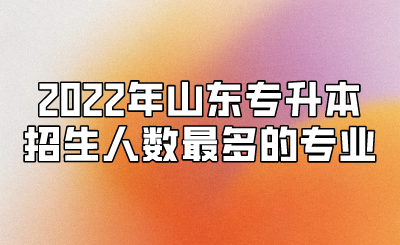 2022年山东统招专升本招生人数最多的专业(图1)