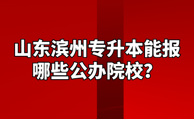 山东滨州专升本能报哪些公办院校？