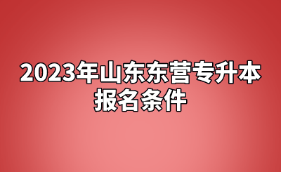 2023年山东东营专升本报名条件