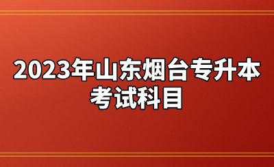 2023年山东烟台专升本考试科目