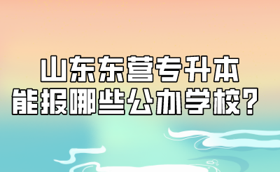 山东东营专升本能报哪些公办学校？