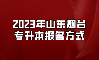 2023年山东烟台专升本报名方式