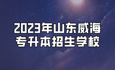 2023年山东威海专升本招生学校