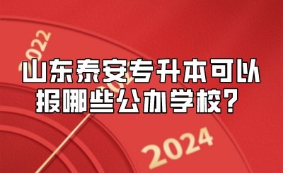 山东泰安专升本可以报哪些公办学校？