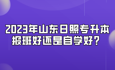 2023年山东日照专升本报班好还是自学好？