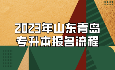 2023年山东青岛专升本报名流程