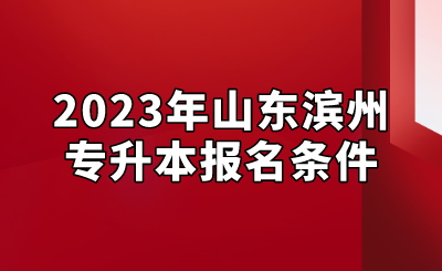 2023年山东滨州专升本报名条件