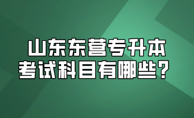 山东东营专升本考试科目有哪些？
