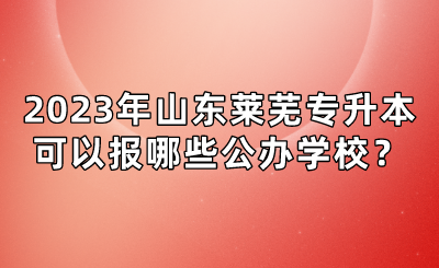 2023年山东莱芜专升本可以报哪些公办学校？