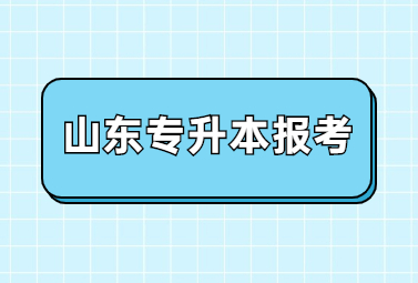 2023年山东统招专升本报考都要什么材料?(图1)