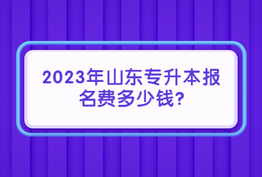 2023年山东统招专升本报名费多少钱?