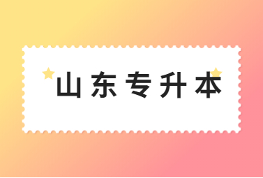 2023年山东统招专升本基础英语知识点汇总(2)