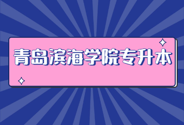 2023年青岛滨海学院专升本招生简章