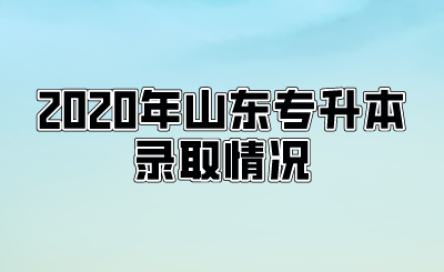 2020年山东统招专升本录取情况