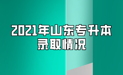 2021年山东统招专升本录取情况