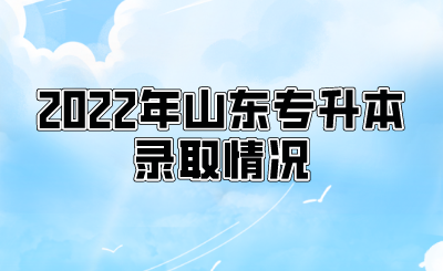 2022年山东统招专升本录取情况