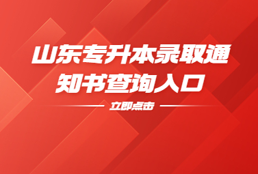 山东统招专升本录取通知书查询入口