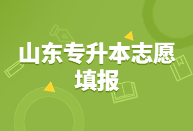 2024年山东统招专升本志愿填报技巧指南