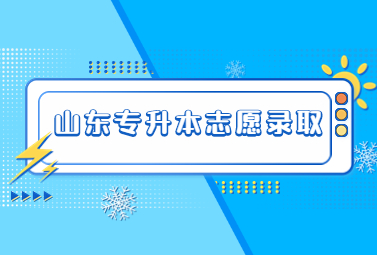 2024年山东统招专升本志愿录取顺序