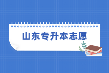 2023年山东统招专升本报志愿可以用手机吗?