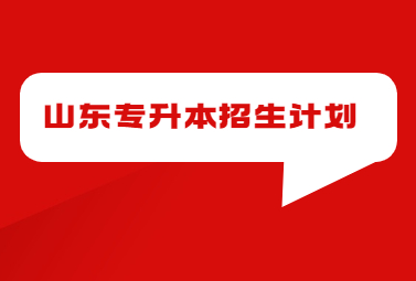 2023年山东省网络工程专升本招生院校与招生计划(图1)