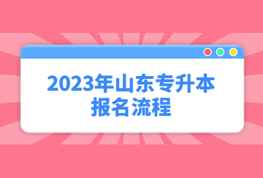 2023年山东专升本报名流程